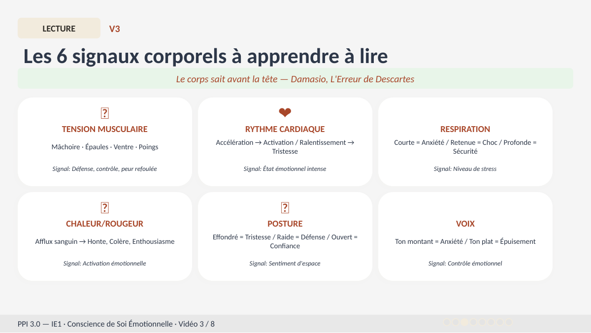 Slide 6