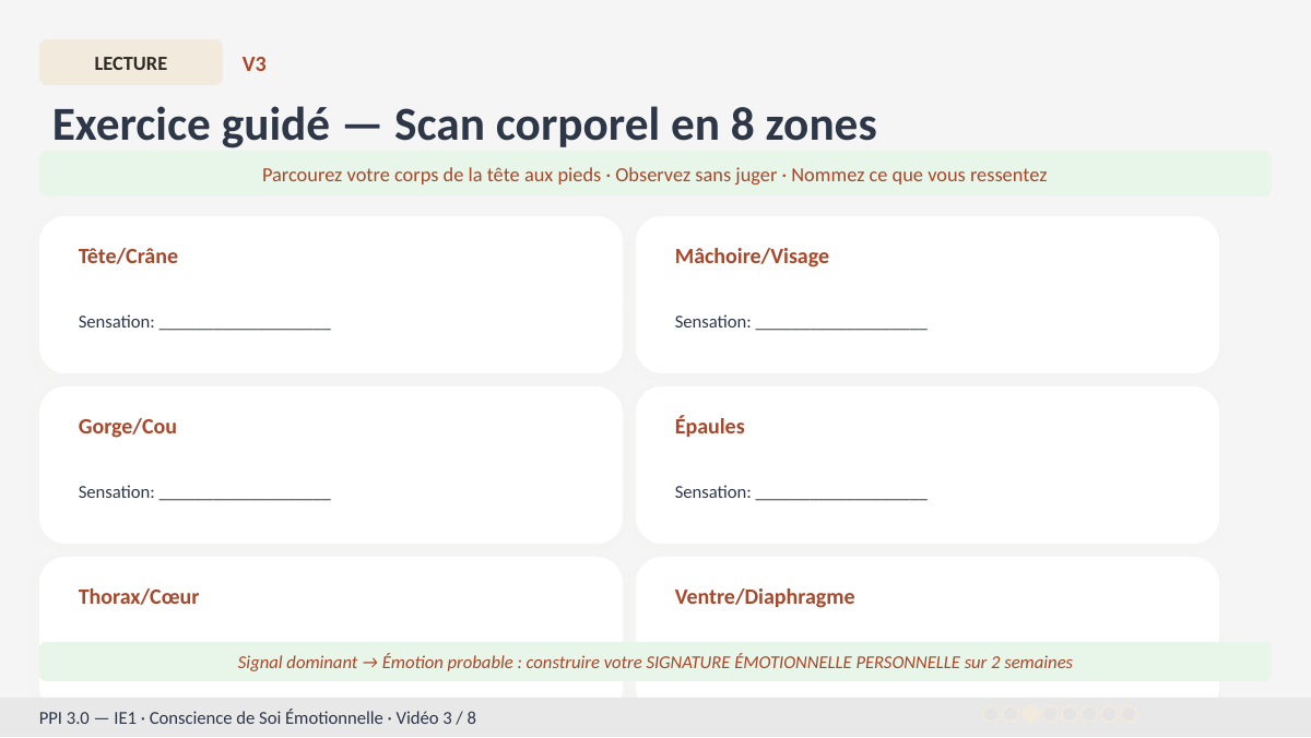 Slide 7