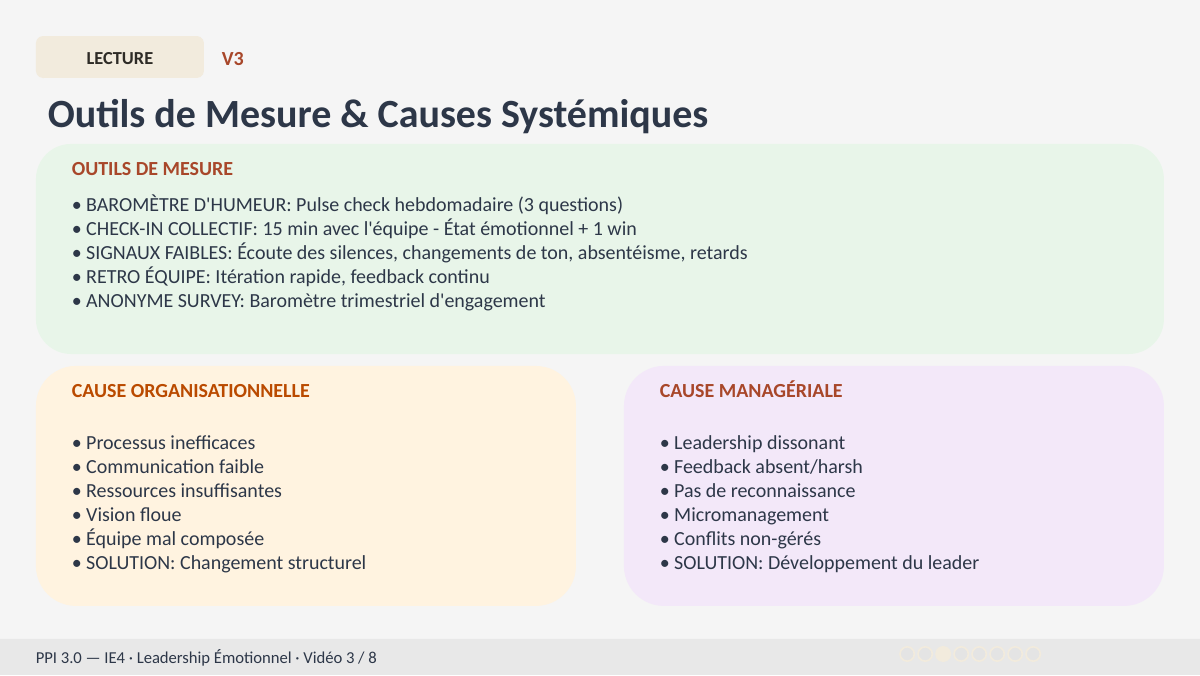 Slide 7